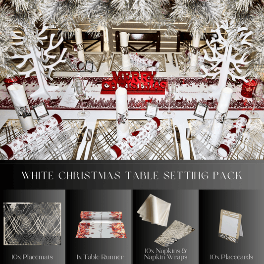 Silver Table Setting Pack — Includes Reindeer Christmas Runner - Place MattersChristmas Table Setting Pack