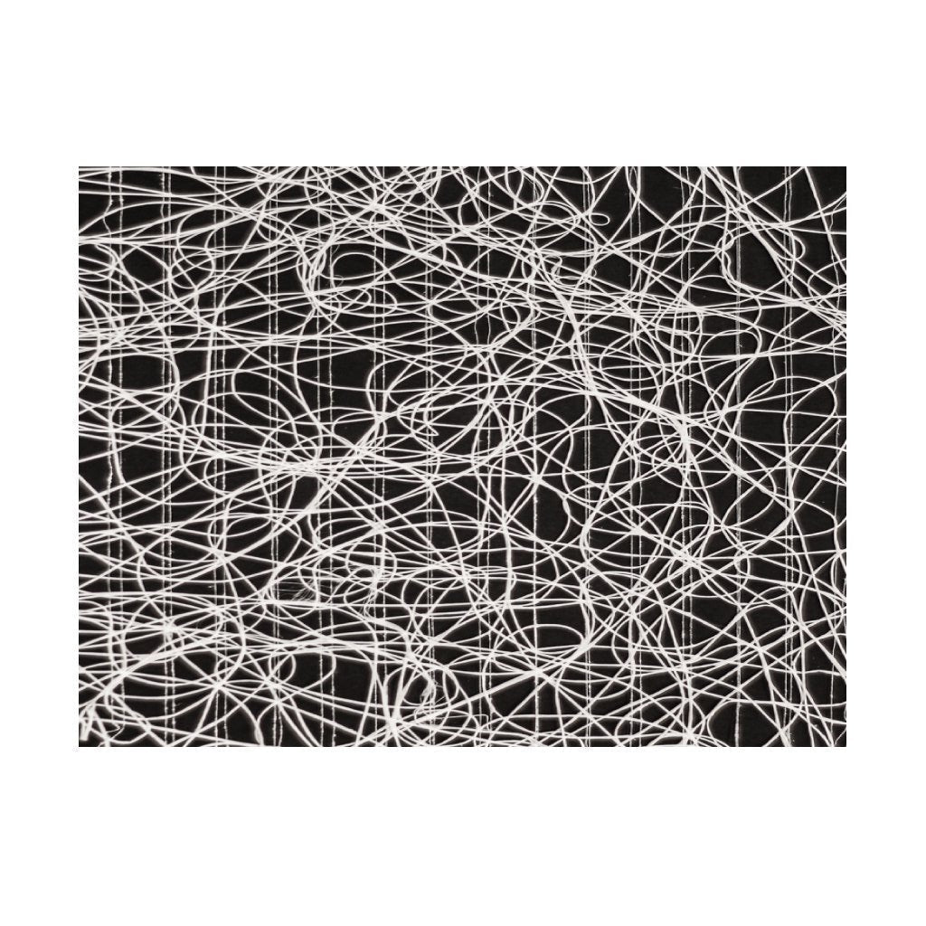 Spaghetti Design Rectangle Placemats | Place Matters (Pack of 20) - Place Matters