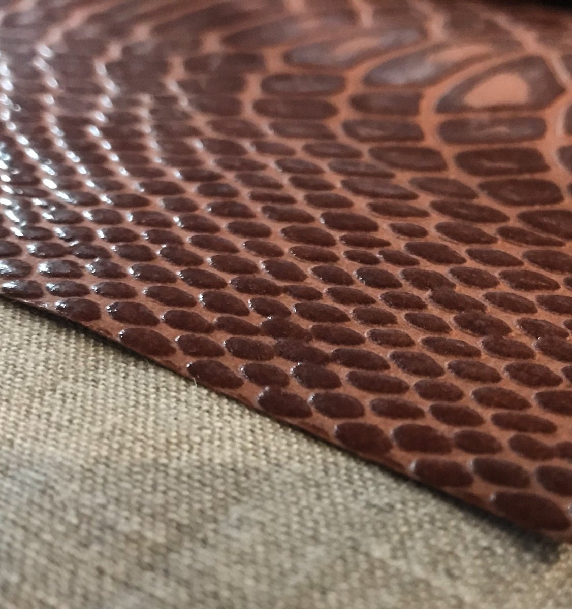Crocodile Faux Design Placemats | Place Matters (Pack of 20) - Place Matters