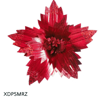 The Celebration Box - Place Matters